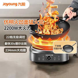 九.阳C22Z-N2202电磁炉凹面家用猛火爆炒立体加热电陶炉电磁灶耐