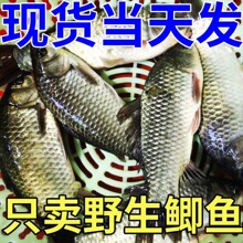 ���rҰ���a�~���~���~�r���ЋD���ӟ������~�F��ԭ���B�a�}