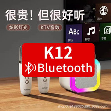 K12蓝牙音响迷你便携式K歌麦无线蓝牙一体机卡拉OK唱歌点歌家庭KT