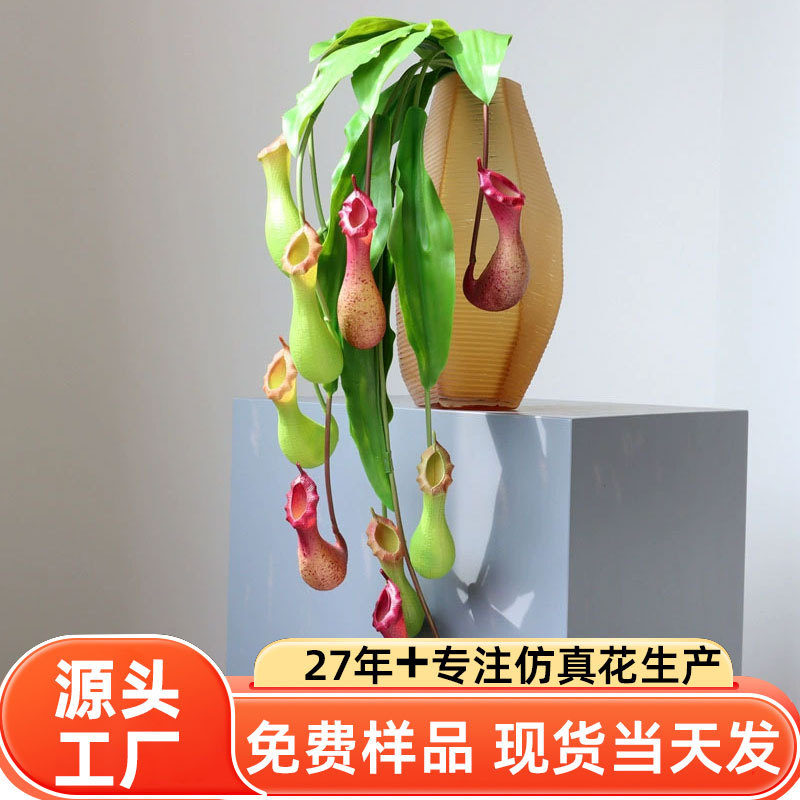 仿真猪笼草捕蝇草套装室内垂挂绿植装饰摄影棚影楼道具厂家批发