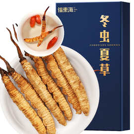 福东海冬虫夏草精选4条/克 足干新冻干饱满无断草无空心批发代发