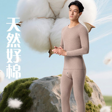 男士新疆长绒棉舒绒保暖内衣套装秋冬高品质透气吸汗加厚秋衣秋裤