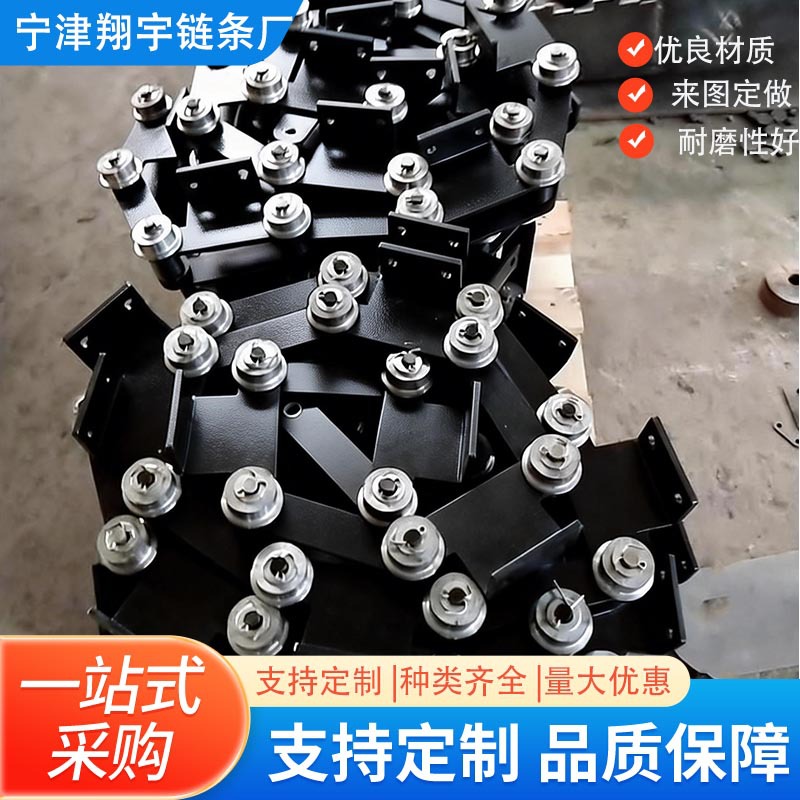 厂家生产制作侧滚轮双边导轮链条批量供应双侧导轮输送滚子链条