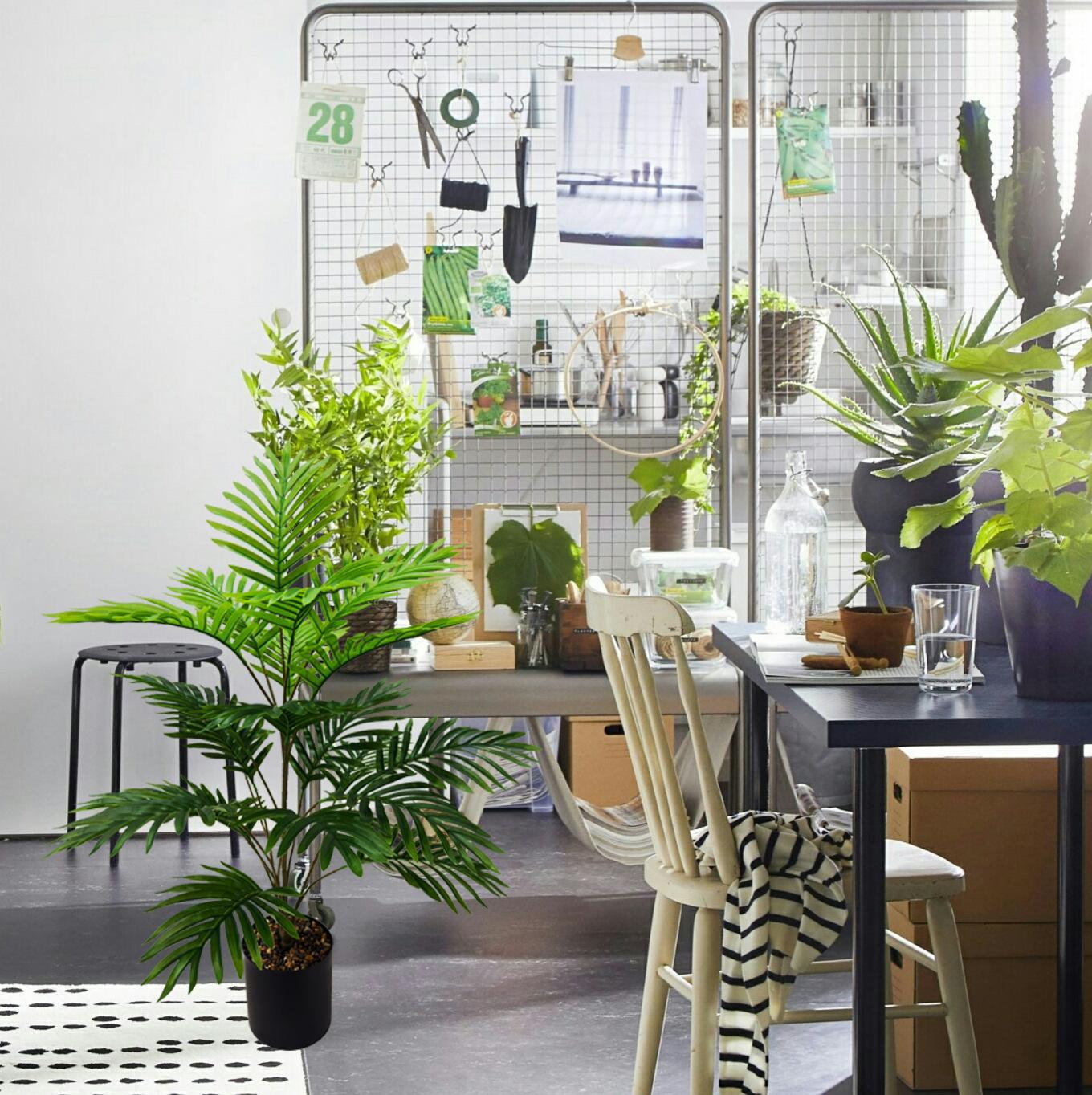 微信图片_20240410152759