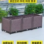 种植家庭大号楼顶花盆