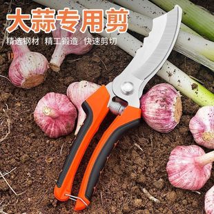 �r�ô���A�[�����ɝ���U����횼������^���[���Ӽ����⌣�ü���