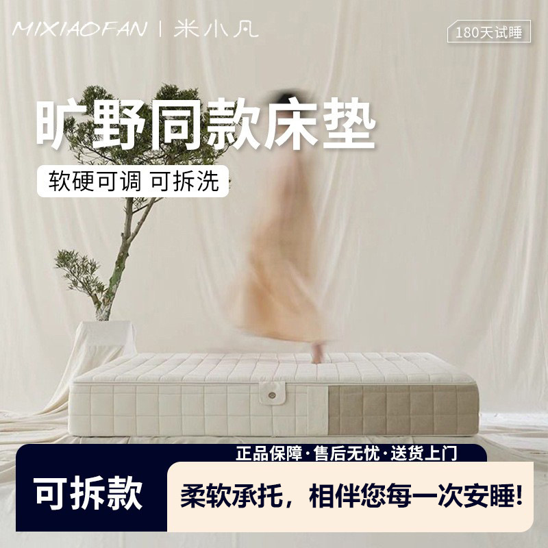 Wilderness Mattress Simmons 0 Glue Removable Independent Spring Silicone Sponge Washable Moderate Hard and Soft Household