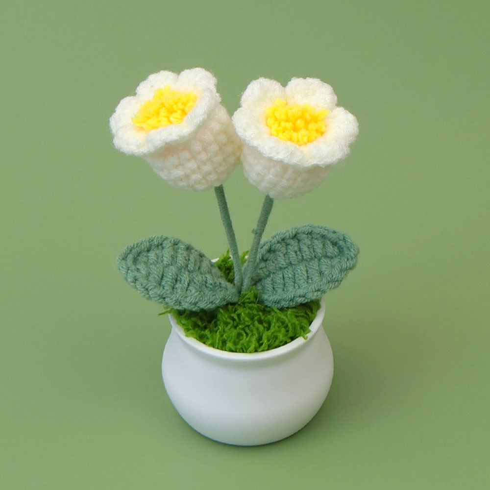 2 plantas en maceta de orquídea blanca (hojas verdes de soja)