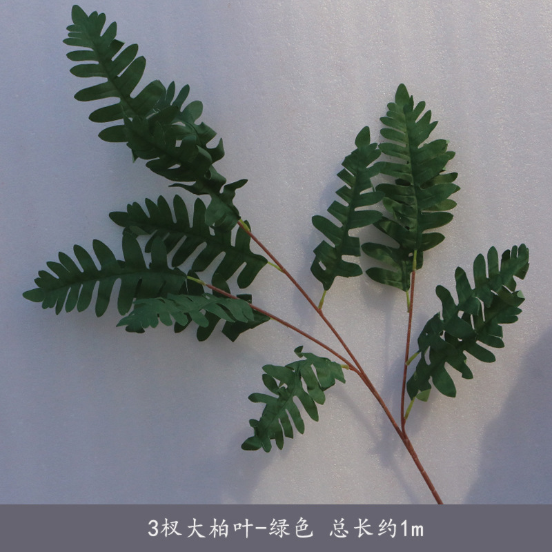 Verde hoja de ciprés grande