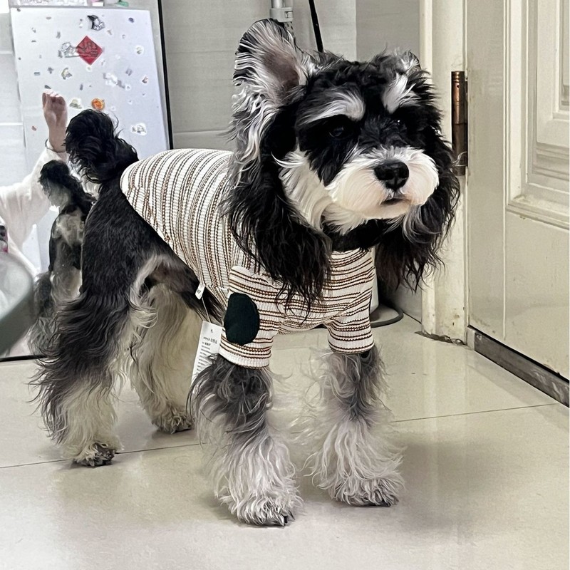 犬服純綿小型犬ストライプボトムシャツクロスボーダーホットスタイル小型犬服シュナウザーペット服|undefined