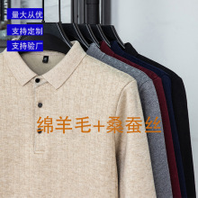 秋冬季男士衬衫领精纺羊毛衫轻奢高级感打底衫加绒保暖针织衫男装