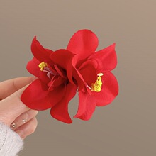 ��ɫ���滨��l�AŮ����ʽ�P�l������߅�A���Ʉ����A���հl���^�