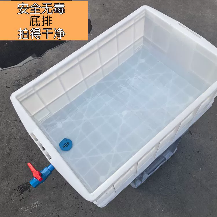 Дренажное дно поворотного ящика с дренажным клапаном. Поворотный ящик для черепах может сливать дренажный бассейн в аквариуме для черепах.