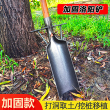 洛阳铲取土器农用挖坑挖山药挖桩洞移苗工具神器淬火锰钢铲子加固