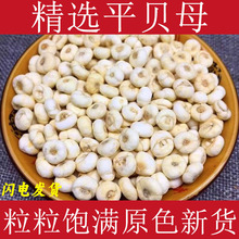 ƽؐĸșƽؐLɽؐĸѩؐĸ˸ԭƺؐĸ؛