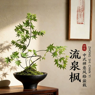 批发流泉枫花盆陶瓷无孔苔藓球佛手柑专用花盆绿植枫树网红禅意盆
