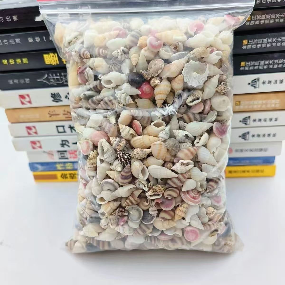 Materiales del paquete Micro paisaje Pequeña concha natural acuario paisajismo infantil hecha a mano concha de mar de borde de guardería