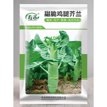 ����u�Ƚ��{�N�Ӵ֗l�ѽ��m�V�|�ļ����Ѵ���＾�N���ݲ˷N