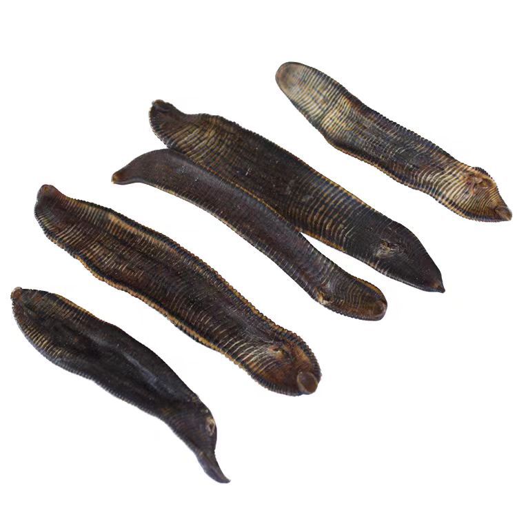 微信图片_20240901214906