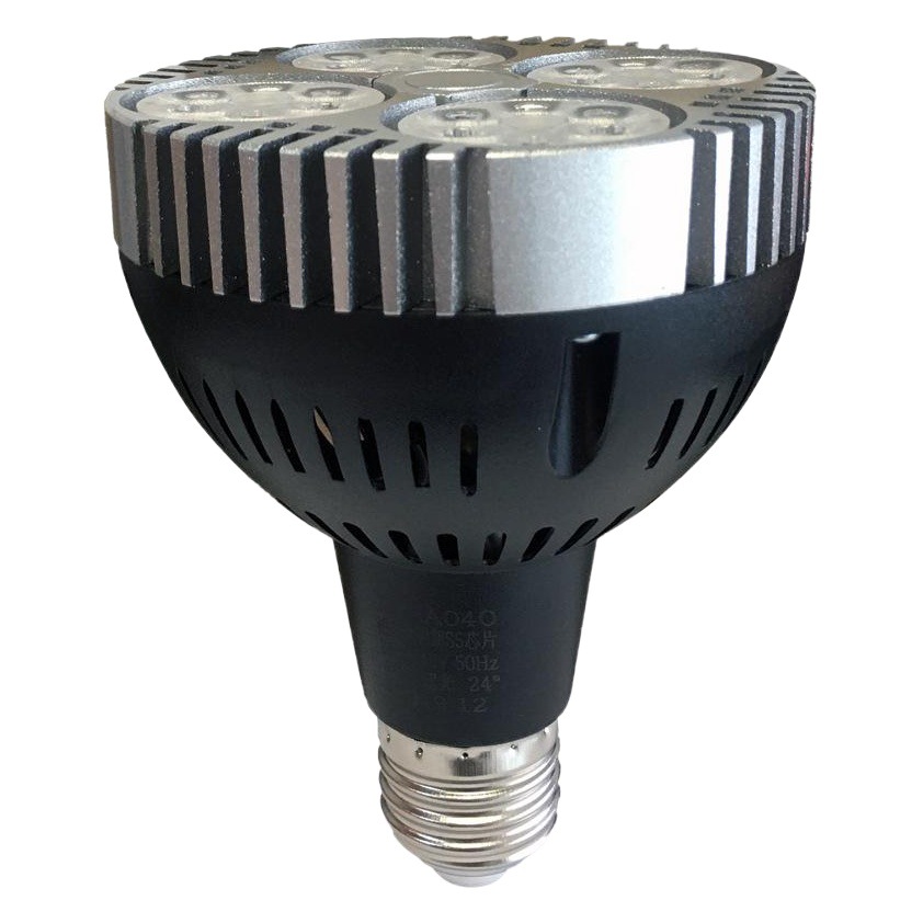 2023 nueva lámpara fresca estándar nacional de carne de cerdo tienda de verduras deli Par30 tienda de verduras marinadas led focolight bombilla e27 conector