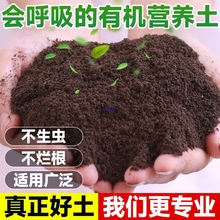 �����I�B���B��ͨ���ͷN���˼������Ի��ܾGֲ��Nֲ�ЙC����