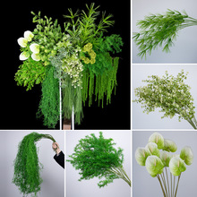 �¿�Gֲ������횲ݻ�����J���ݻ��Ų廨�����G�~�b�����