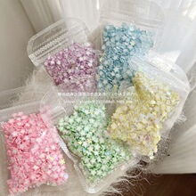 ҹ��ܛ��diy���������z�֙C����Ƭ����������Ʒʷ�Rķ�����l