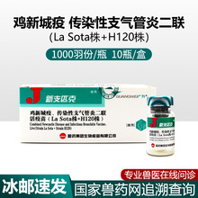 哈药鸡新支二联疫苗H120株鸡新城疫传染性支气管炎活疫苗鸡瘟疫苗