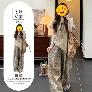 �μ�/2026�ļ��¿�W�����ɰٴ�A�IT���r�����eѝ�}ϵ���s�ٴ