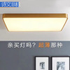 吸顶灯现代简约轻奢LED正长方形2021新款全铜北欧大客厅主卧室灯|ms