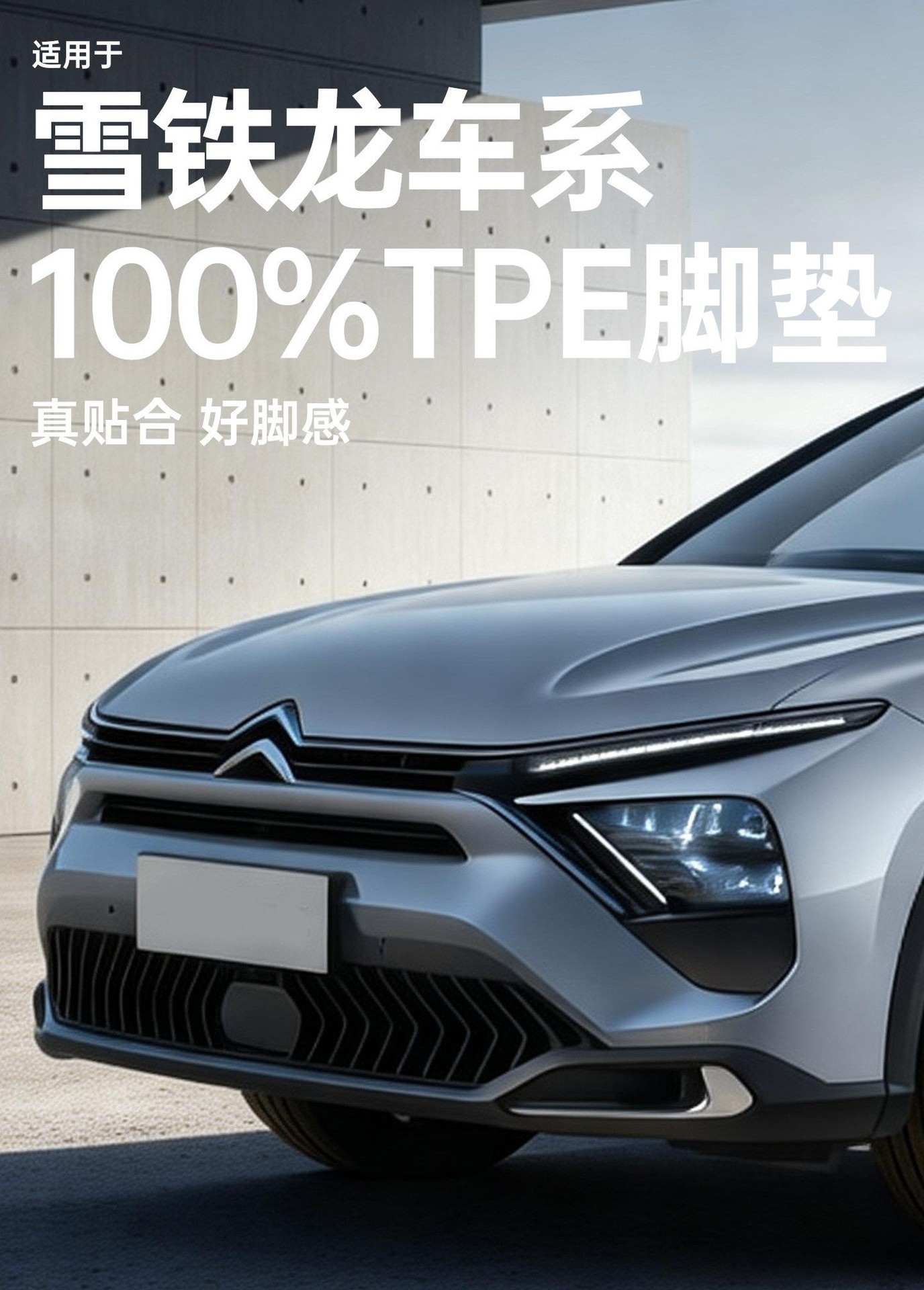Suitable for 21-26 model Citroen Versailles C5-X, Tianyi C5, C3-X, RC3L, Elysee TPE car floor mats