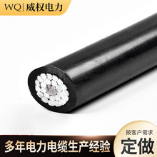 �ܿս^������JKLGYJ-10KV-300/25�о��|�߉��ܿ��X����