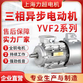 厂家定制YVF2三相异步电动机变频电机化工水泵机械用三相异步电机