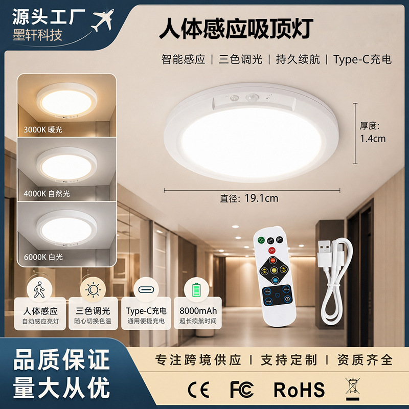 USB Rechargeable New Model Single-Color Timed Human Sensor Ceiling Light for Kitchen, Dormitory, Corridor, Balcony Emergency Lighting USB Rechargeable New Model Single-Color Timed Human Sensor Ceiling Light for Kitchen, Dormitory, Corridor, Balcony Emergency Lighting