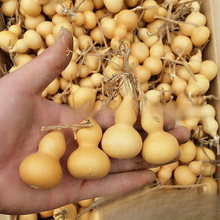 �a��ֱ����Ȼ ���J ��������С���J �����F���� �������J �����