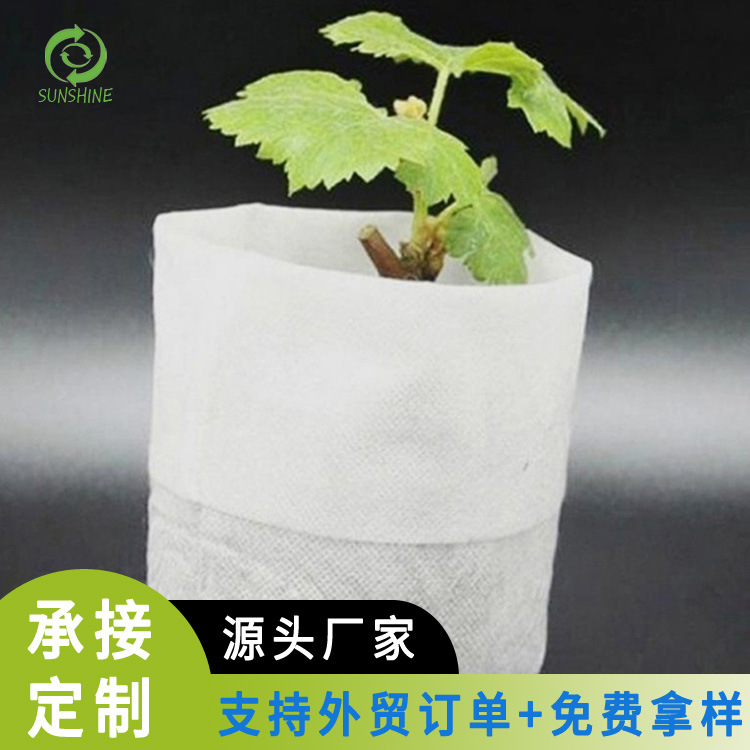 工厂多规格可选农业育秧育苗布 农业无纺布
