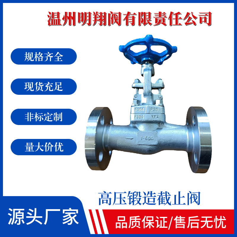 温州源头厂家整体锻造蒸汽截止阀J41H节流氮气水空气油品出口专用