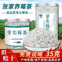 莓茶张家界野生特级正品芽尖霉茶正宗龙须藤茶湖南永顺莓茶养生茶