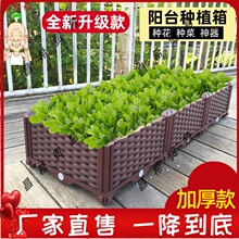 �߲˷Nֲ�� �ش��̨�N�����L���μ�ͥ��픲ˈ@���ϷN�˻��軨��