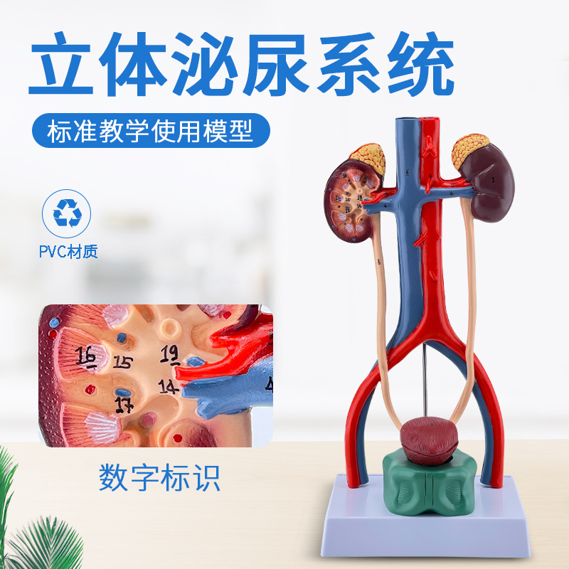 ��������ϵͳģ��  ����ϵͳ��������ܡ����׼����ģ�ͣ����壩