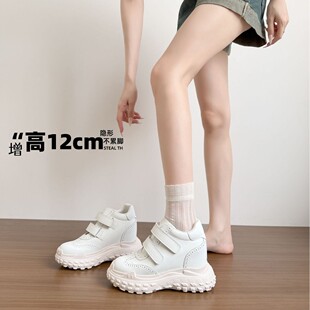 ţƤ��&middot;~ ������12CM�\��ЬŮ2026��С�������e�p��ٴ�С��Ь