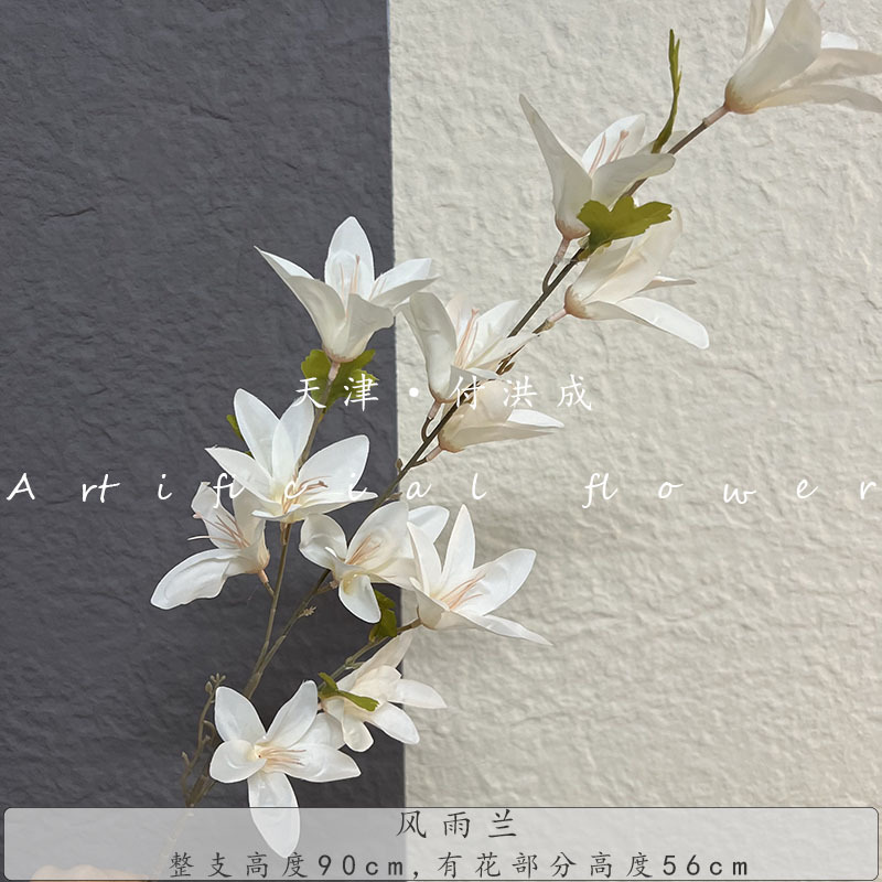 바람과 비 난초