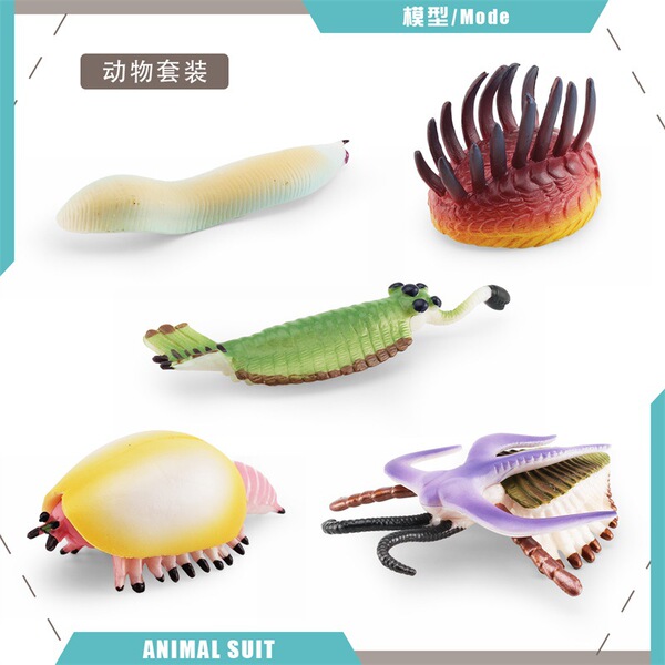 Realistic marine life model