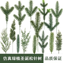 �羳����Gֲ�������PE�Gɫ�}�Q���֦����}�Q/�Ĕz�҃�DIY���