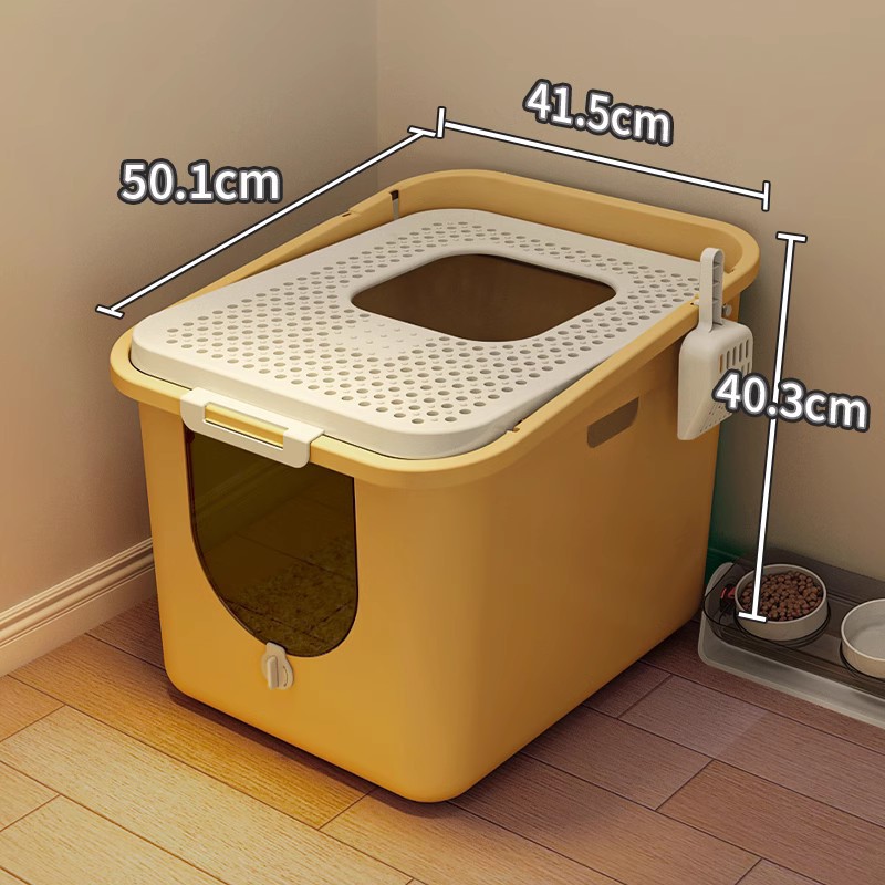 전면 진입 및 상출·노란색