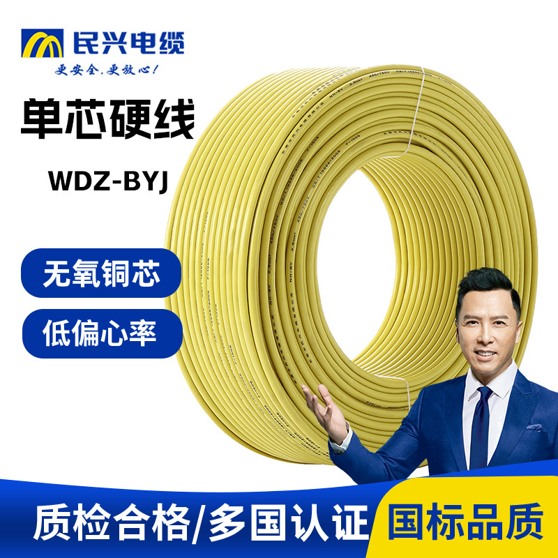 定制 WDZ-BYJ-125工业电源线无氧纯铜芯单股家装工程低烟无卤电线