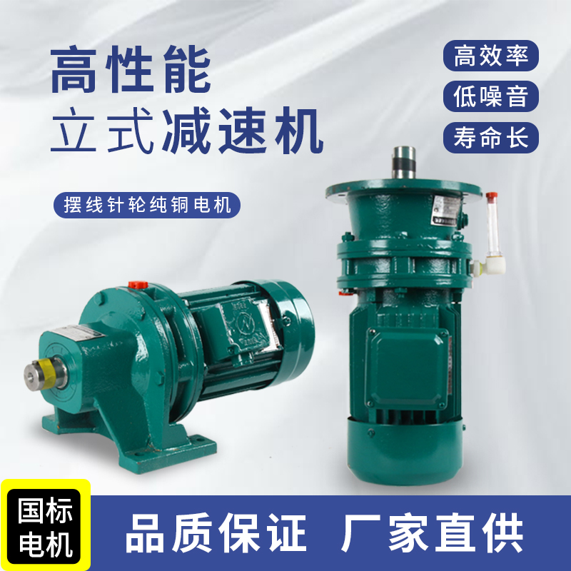 摆线针轮减速机带电机卧式小型立式摆针式减速器国标铜芯电机