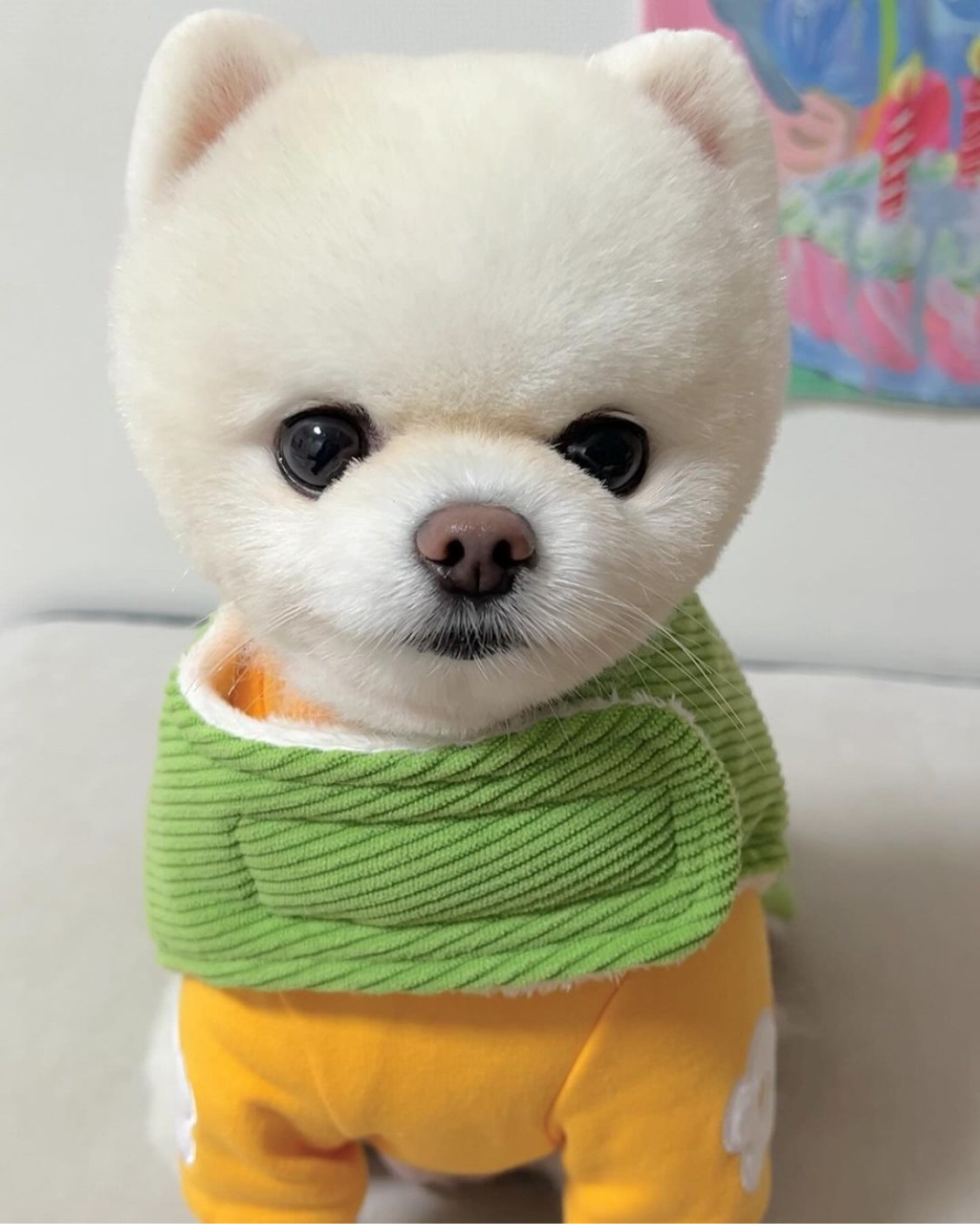 微信图片_20231223132143.jpg