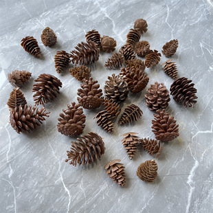 �����ɹ������������������ �}�Q���}�Q��DIY�b�Ʒ���ɰع�ϵ��
