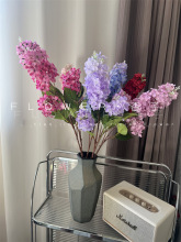 ΢�`���㻨���滨3�涡��乤������L���ӻ�Y��c�����bٻ�